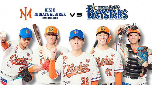 「オイシックス新潟アルビレックスBC」の画像