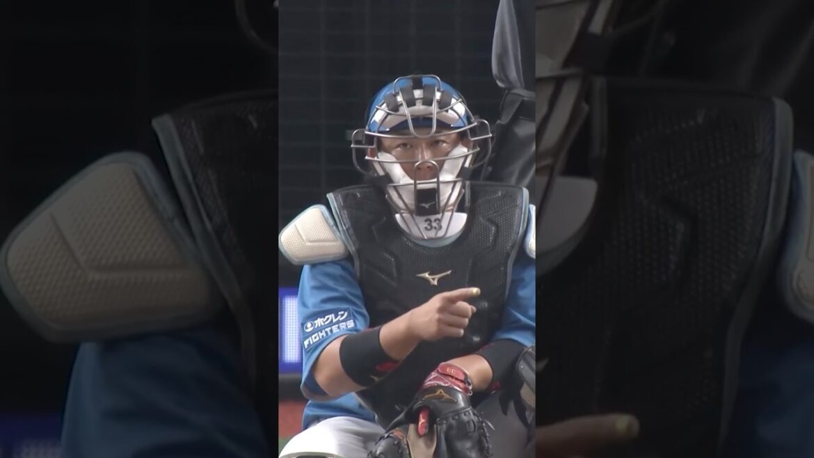 4/29のハイライト　進藤勇也選手が強肩を発揮✨#ドミれ #lovefighters