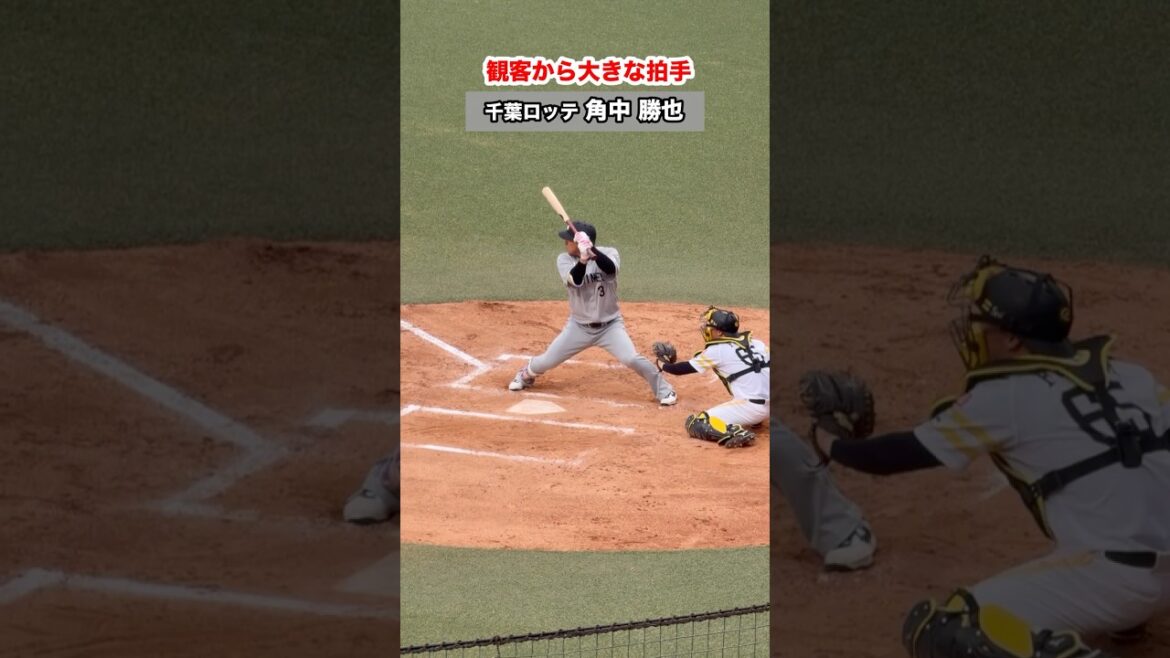 26.4.29 千葉ロッテマリーンズ 角中勝也#chibalotte #千葉ロッテ #プロ野球 #ロッテ＃千葉ロッテマリーンズ #パリーグ #タマスタ筑後 #応援歌