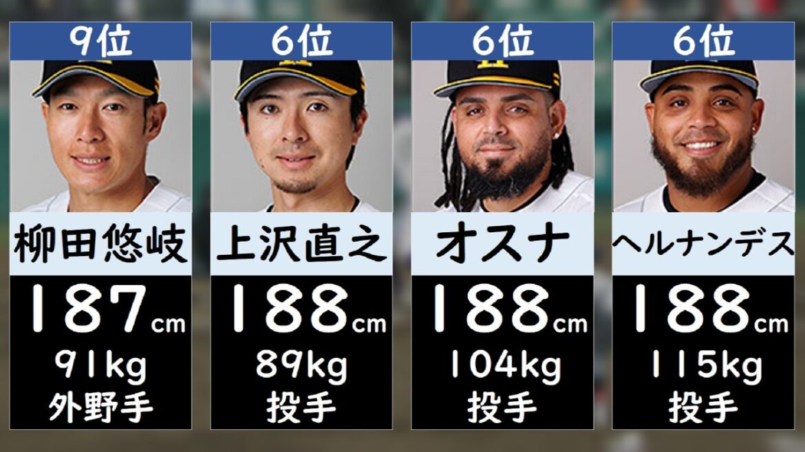 【ソフトバンクホークス】身長ランキング2026