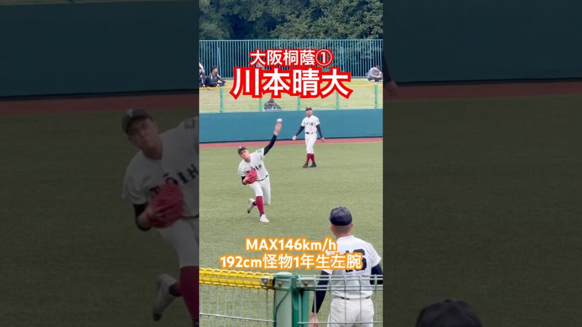 #川本晴大 #大阪桐蔭 #高校野球 #甲子園 #ドラフト