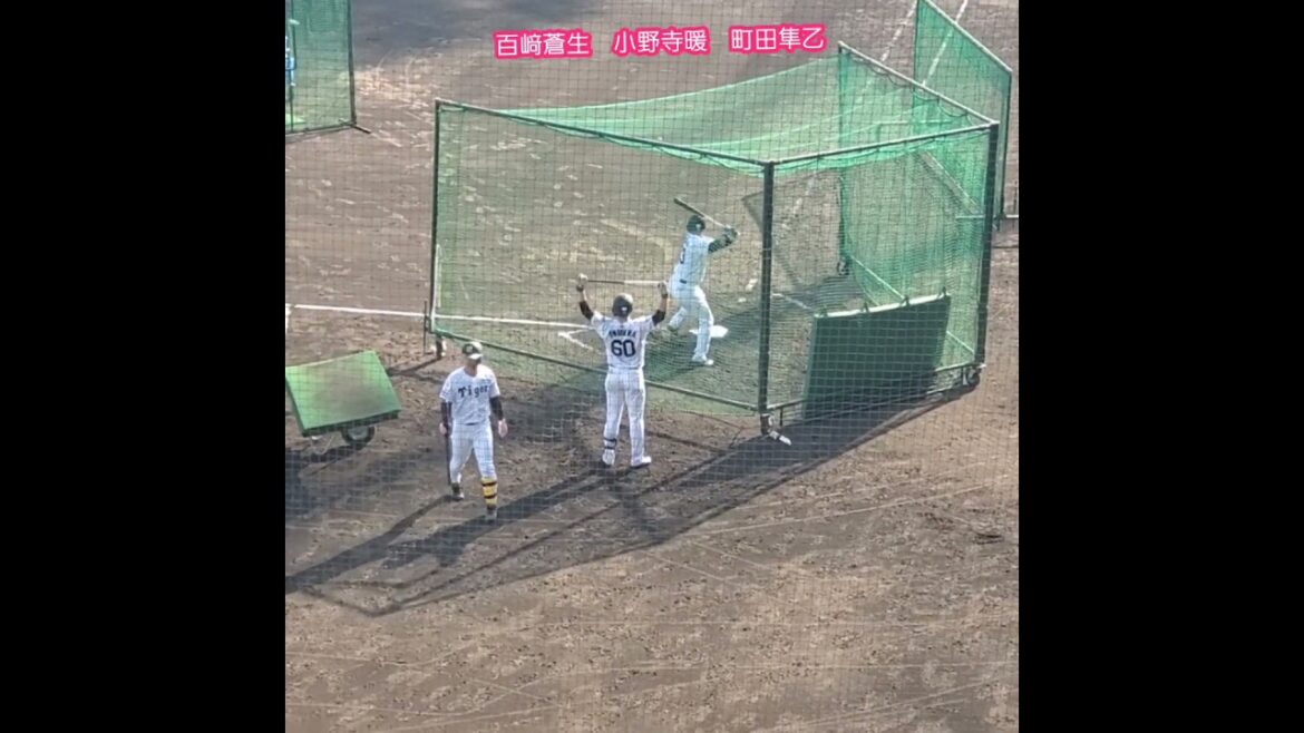 20260317　#百﨑蒼生　#小野寺暖　#町田隼乙　試合後、居残り打撃練習　#shorts@日鉄鋼板SGLｽﾀｼﾞｱﾑ尼崎［ﾌｧｰﾑ･ﾘｰｸﾞ 西地区 2軍戦］