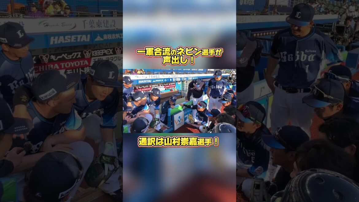 【#ネビン 選手が合流！】2026年5月1日の声出し！ #seibulions