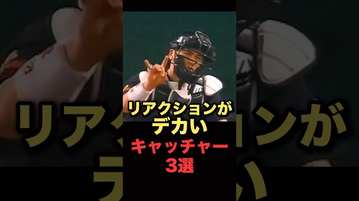 リアクションがデカいキャッチャー3選#プロ野球