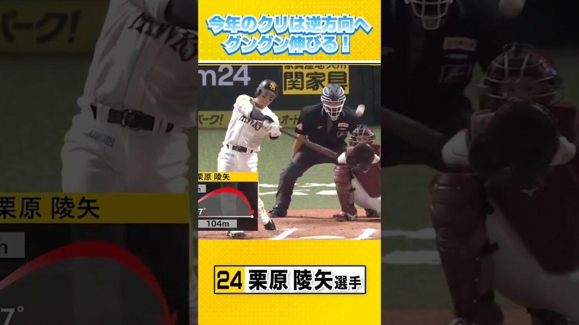 逆方向へぐんぐん伸びる6号同点ホームラン！ #栗原陵矢 #sbhawks #全新