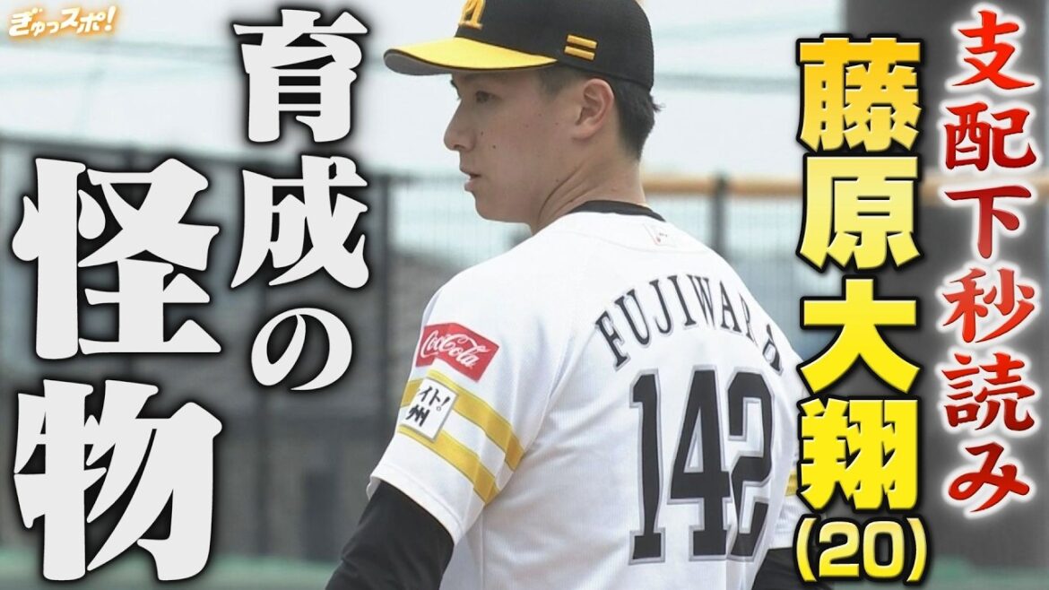 20歳以下限定 期待の若鷹特集！ 全ての球が一級品 育成の怪物 藤原大翔 【ぎゅっスポ！ホークスこぼれ話】