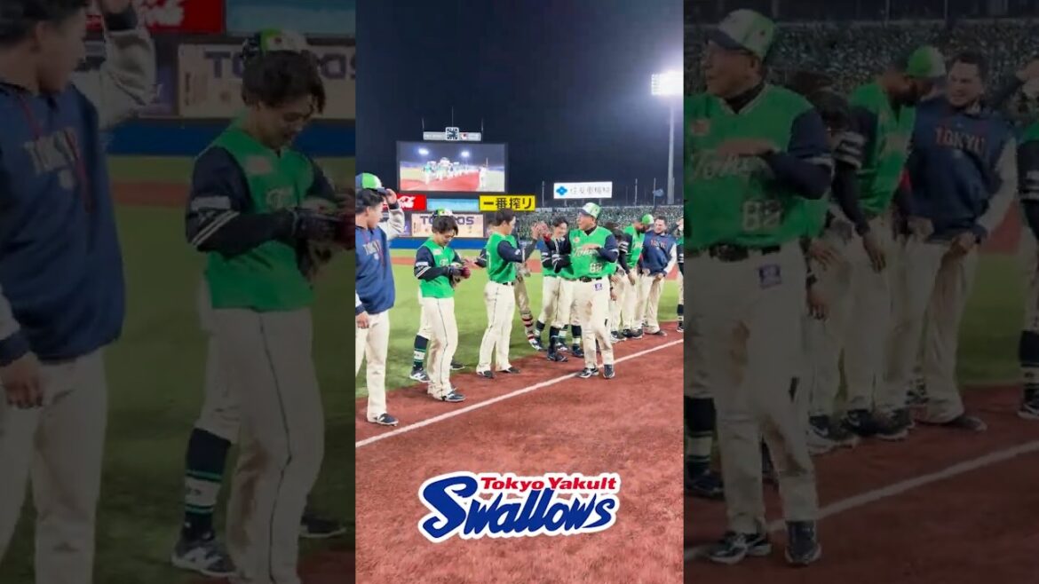勝利後のハイタッチ #swallows #shorts