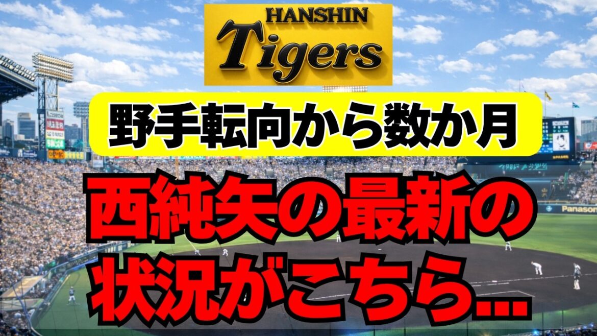 【阪神】野手転向後、西純矢の最新の２軍成績がこちら・・・