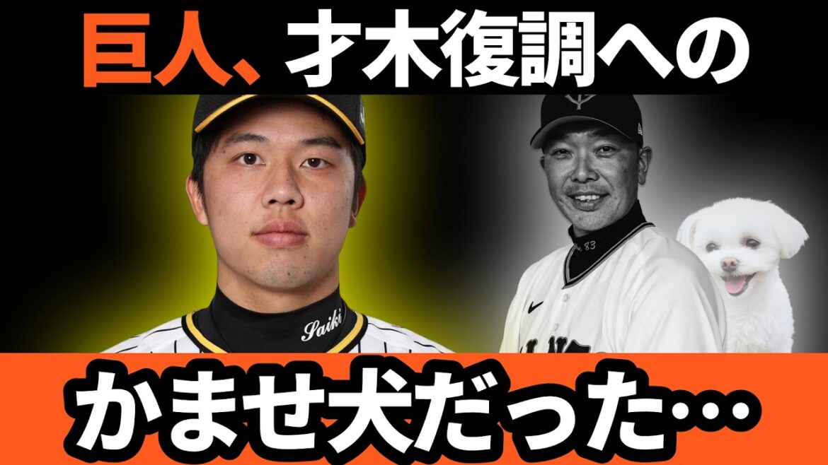 巨人、才木復調させ虎にボコられる… かませ犬だった… | 巨人 VS 阪神