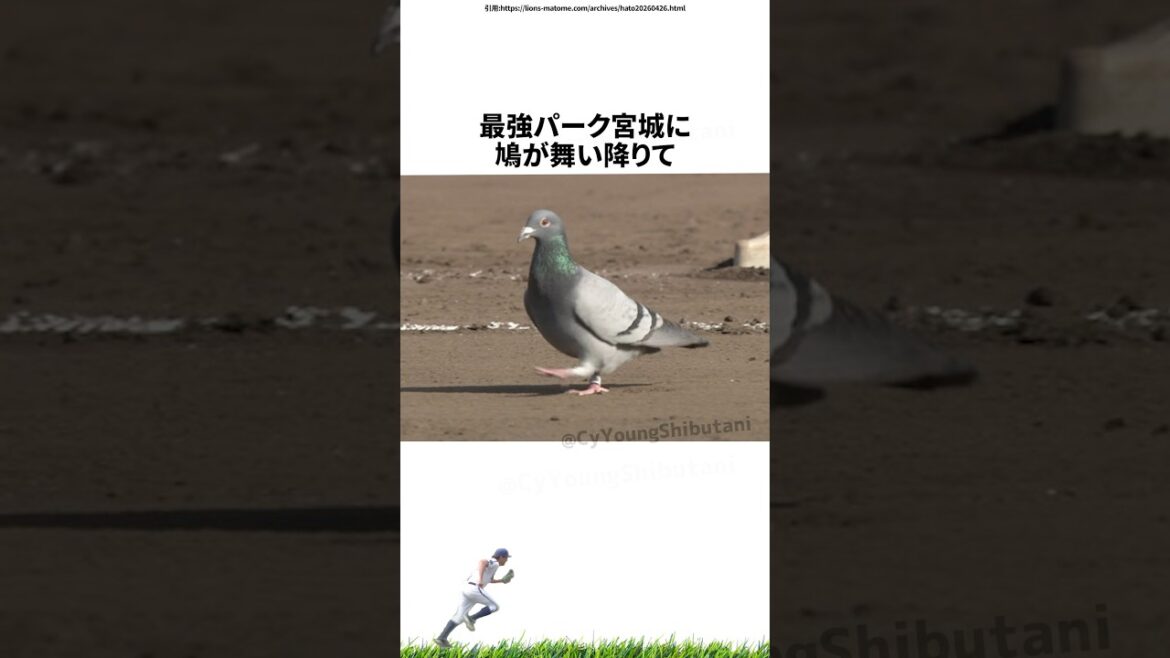 【プロ野球】先週実際に起こったプロ野球の出来事・雑学・エピソード4【4/20～4/26】