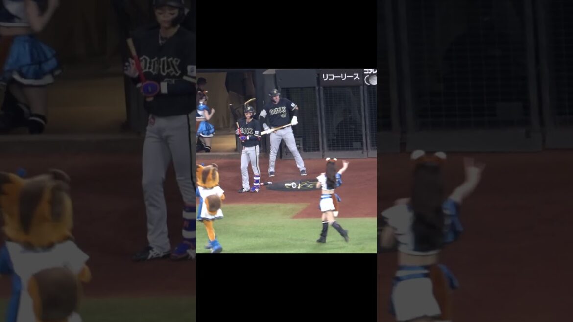 ファイターズガールにさりげなく道を譲る中川圭太 #オリックスバファローズ #中川圭太 #ファイターズガール