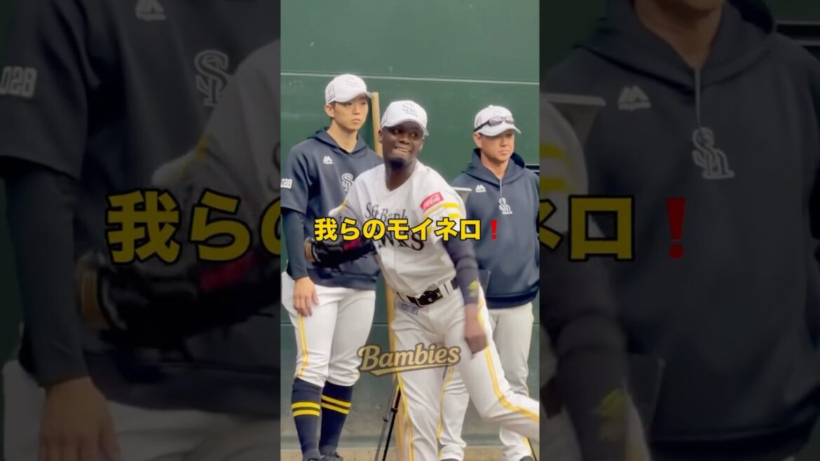 【我らのモイネロ❗️】 #福岡ソフトバンクホークス #sbhawks #プロ野球 #bambies 【我らのモイネロ❗️】 #福岡ソフトバンクホークス #sbhawks #プロ野球 #bambies