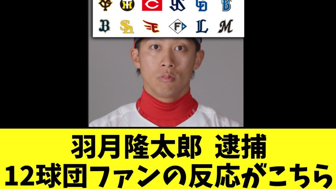 羽月隆太郎 ゾンビたばこで逮捕12球団ファンの反応がこちら