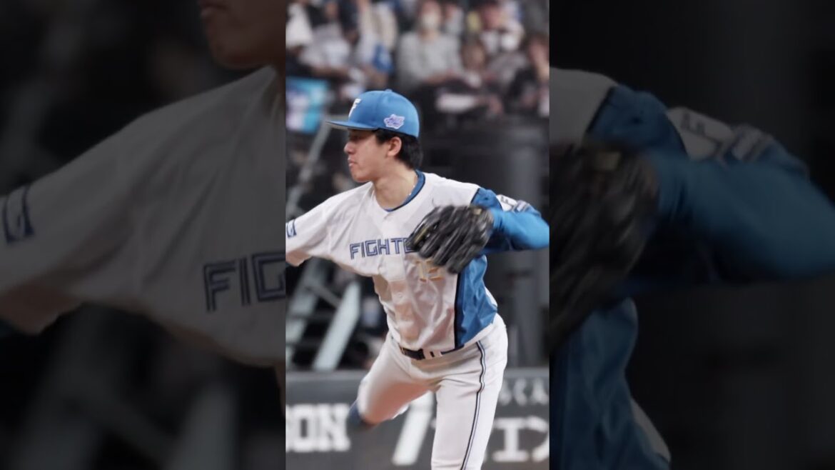 shut-out!! #ドミれ #lovefighters