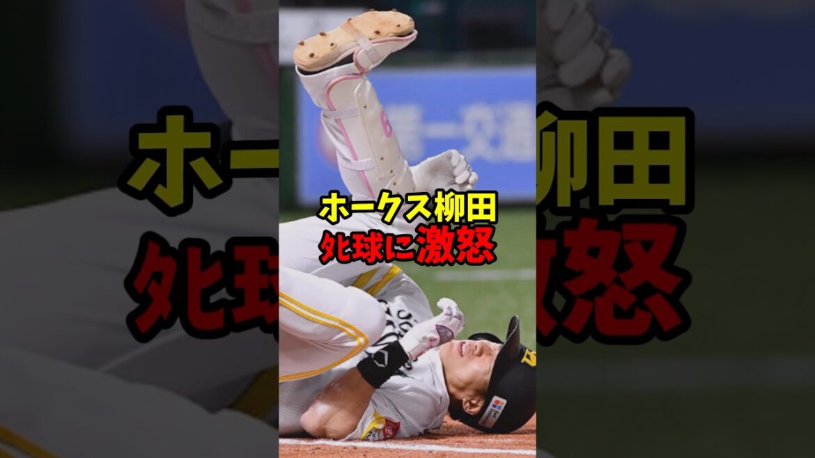 ホークス柳田、タヒ球に激怒【福岡ソフトバンクホークス】 ホークス柳田、タヒ球に激怒【福岡ソフトバンクホークス】
