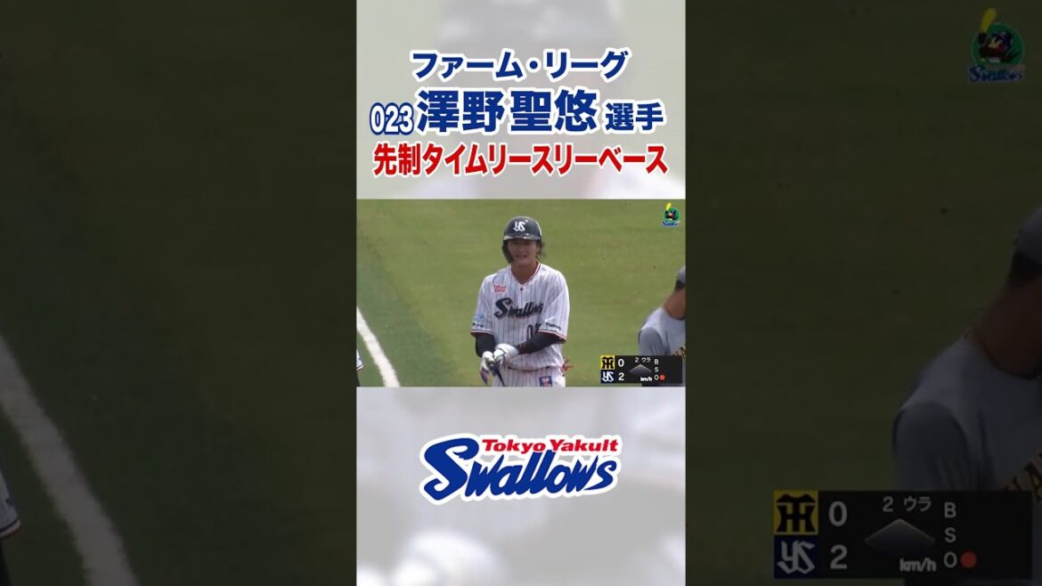 【ファーム・リーグ】澤野聖悠選手 先制タイムリースリーベース #swallows #shorts #澤野聖悠