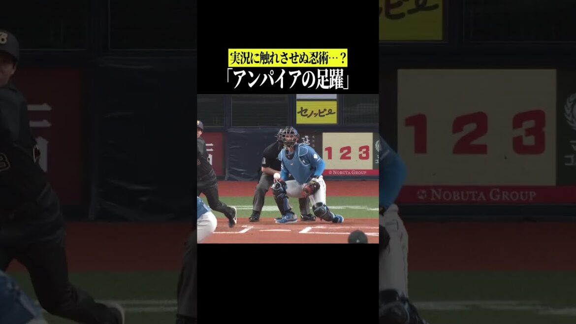 【衝撃事実…】実は忍者だったアンパイア #shorts
