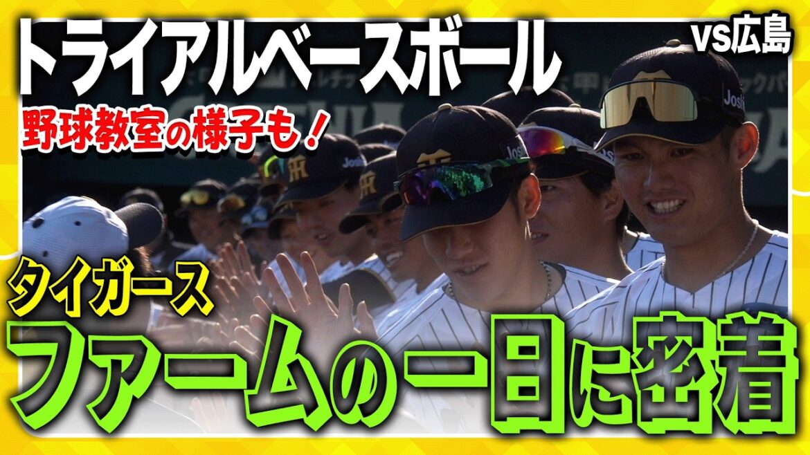 【ファーム】#日鉄鋼板SGLスタジアム尼崎 で戦う若虎の一日！ #広島東洋カープ とのファーム・リーグ公式戦に密着しました！