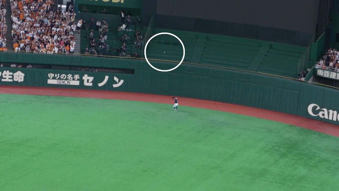 ヤクルト 並木秀尊 ナイスプレー　巨人 vs ヤクルト　2026年5月5日(火)　東京ドーム