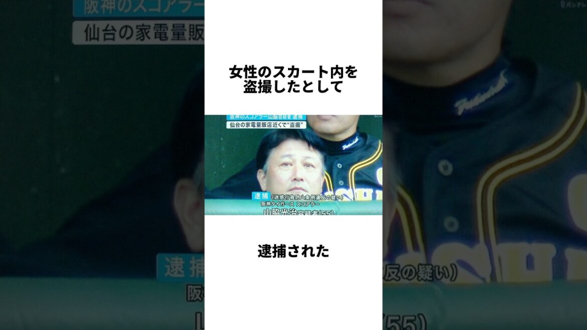 『引退後に事件を起こした選手3選』#shorts #プロ野球 #野球 #山脇光治 #阪神 #スコアラー #森本学 #交通事故 #ホークス #堂上隼人 #堂上