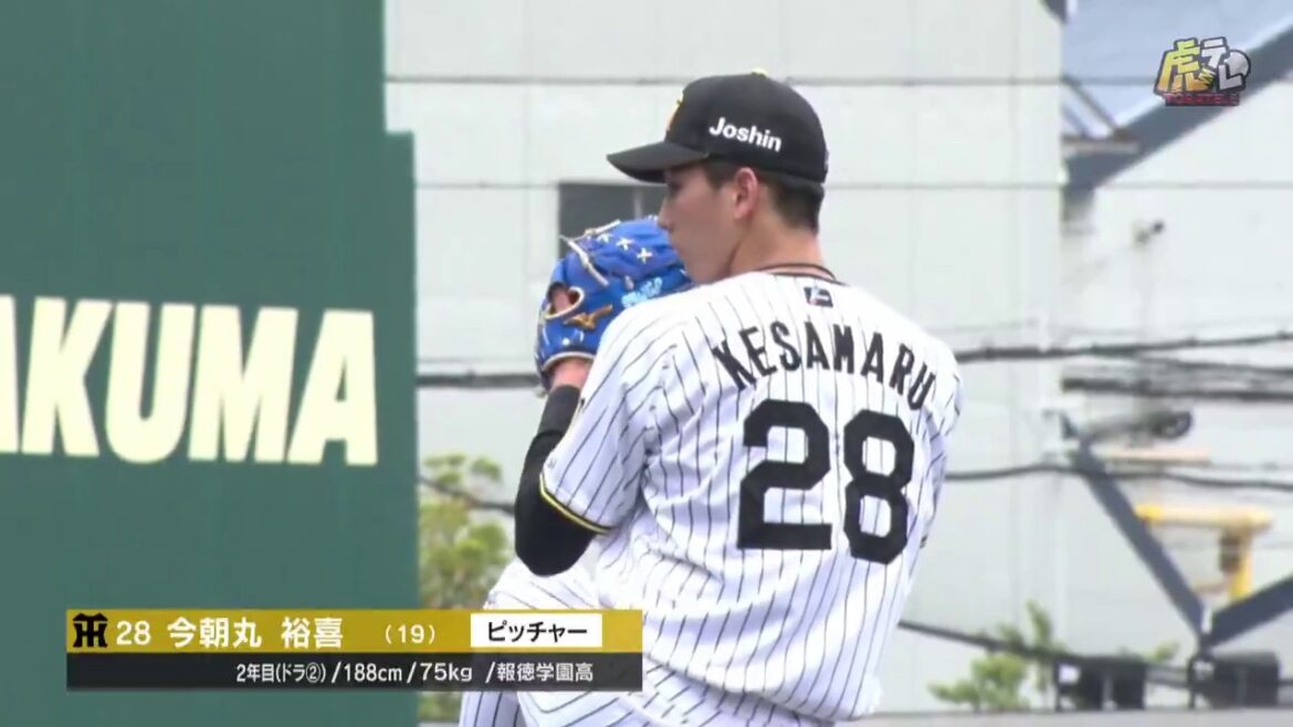 【ハイライト】5/6(水) 神6－0広（ＳＧＬ）| 今朝丸が7回5安打無失点！5回裏、山田、岡城、元山のタイムリーで一挙5点！