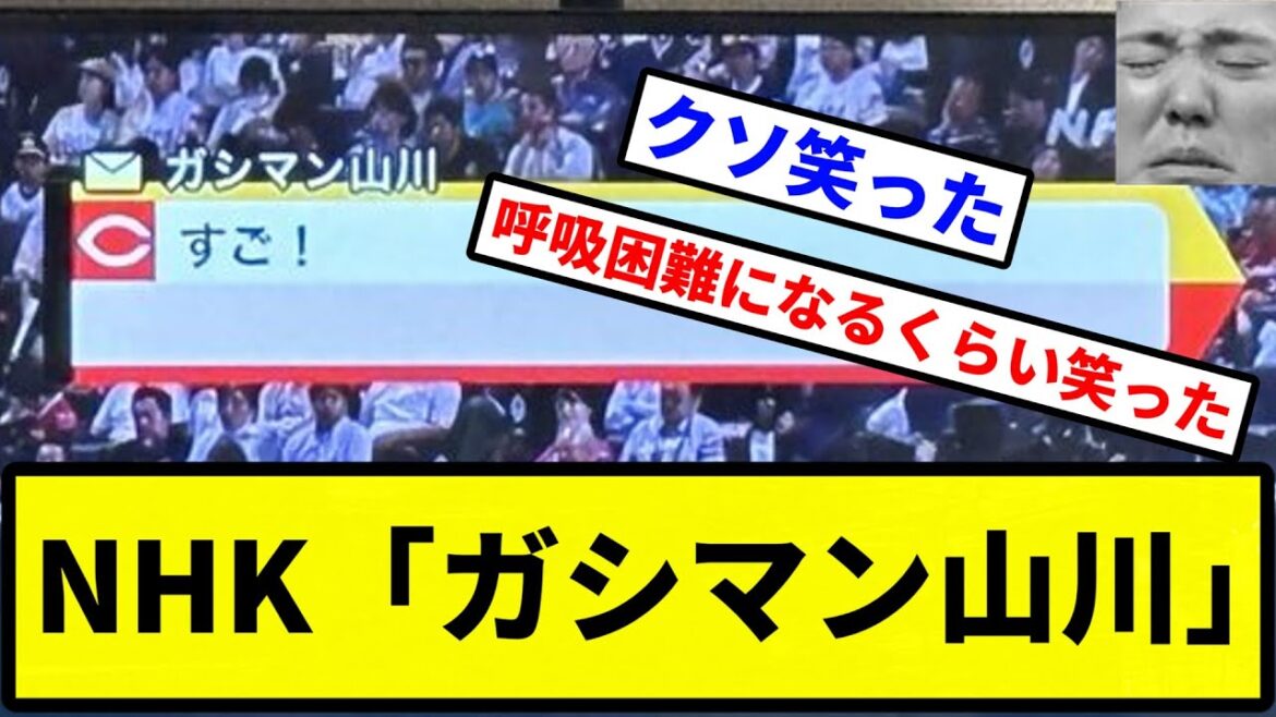 【放送事故】NHK「ガシマ〇山川」【プロ野球反応集】【1分動画】