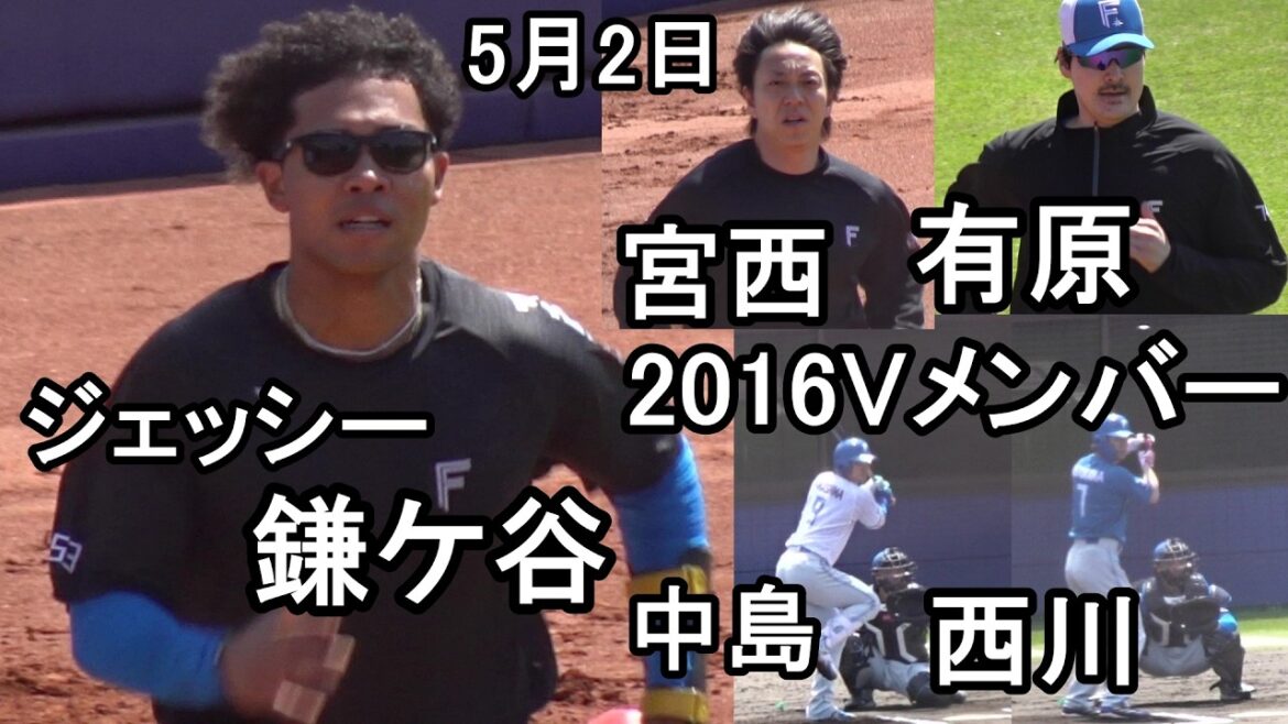 豪華!鎌ケ谷に2016日本一主力メンバー集結、水谷瞬はリハビリ奮闘(日本ハム鎌ケ谷残留組練習)2026.5.2 豪華!鎌ケ谷に2016日本一主力メンバー集結、水谷瞬はリハビリ奮闘(日本ハム鎌ケ谷残留組練習)2026.5.2