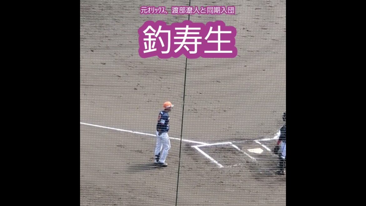 20260428　同期入団･渡部遼人と同じ登場曲！打席に向かう #釣寿生　#shorts　姫路ｲｰｸﾞﾚｯﾀｰｽﾞ@姫路･ｳｲﾝｸ球場［さわかみ関西独立ﾘｰｸﾞ］姫路市立姫路球場