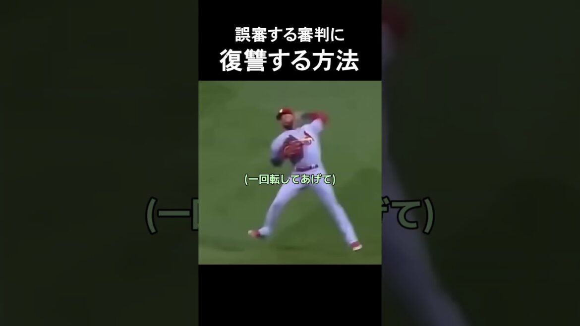 誤審する審判に復讐する方法 #野球