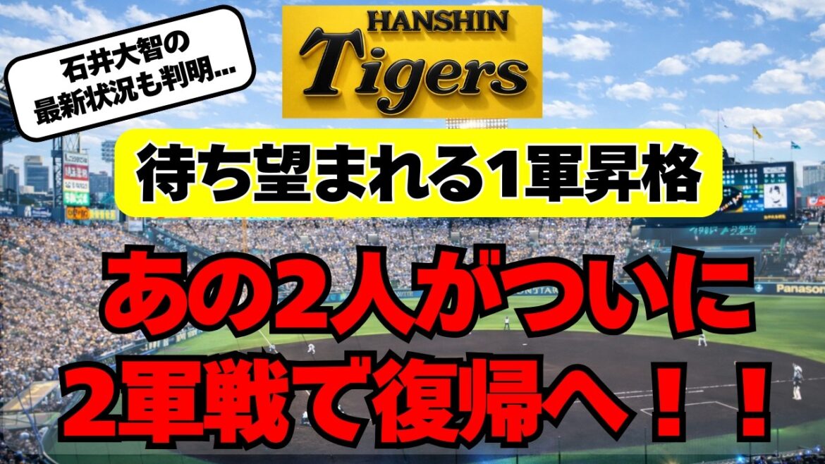 【阪神】ついにあの２人が復帰へ！石井大智の最新状況も判明