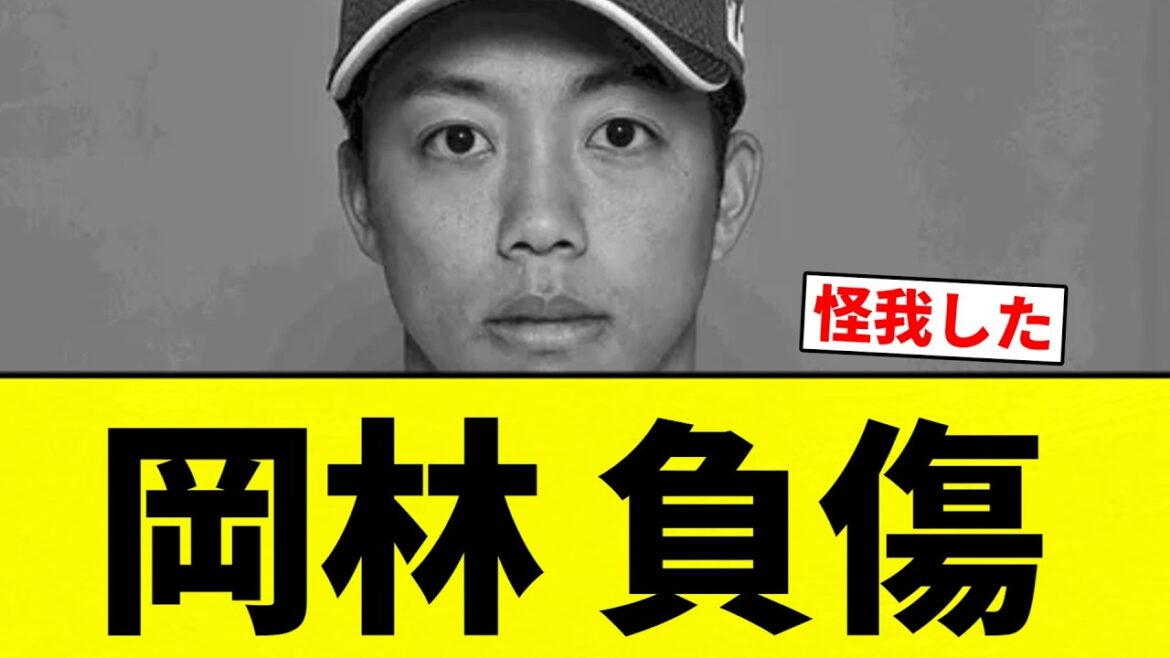 【最悪や】岡林 負傷【プロ野球反応集】【2chスレ】【なんG】 【最悪や】岡林 負傷【プロ野球反応集】【2chスレ】【なんG】