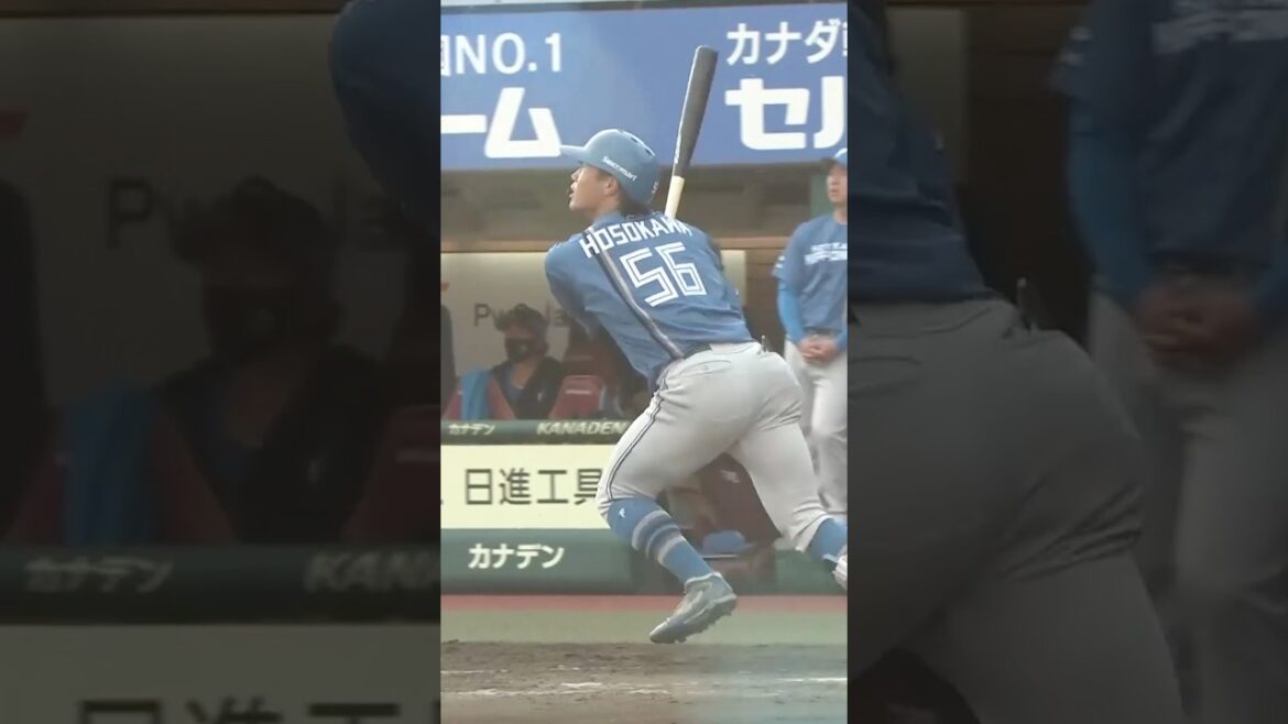 5/6ハイライト　14安打12得点で快勝！細川凌平選手が代打で圧巻の一発🔥#ドミれ  #lovefighters