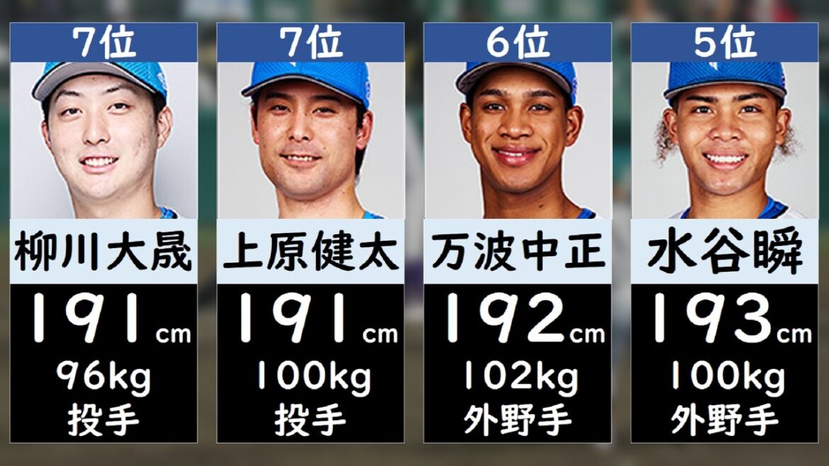 【日本ハムファイターズ】身長ランキング2026