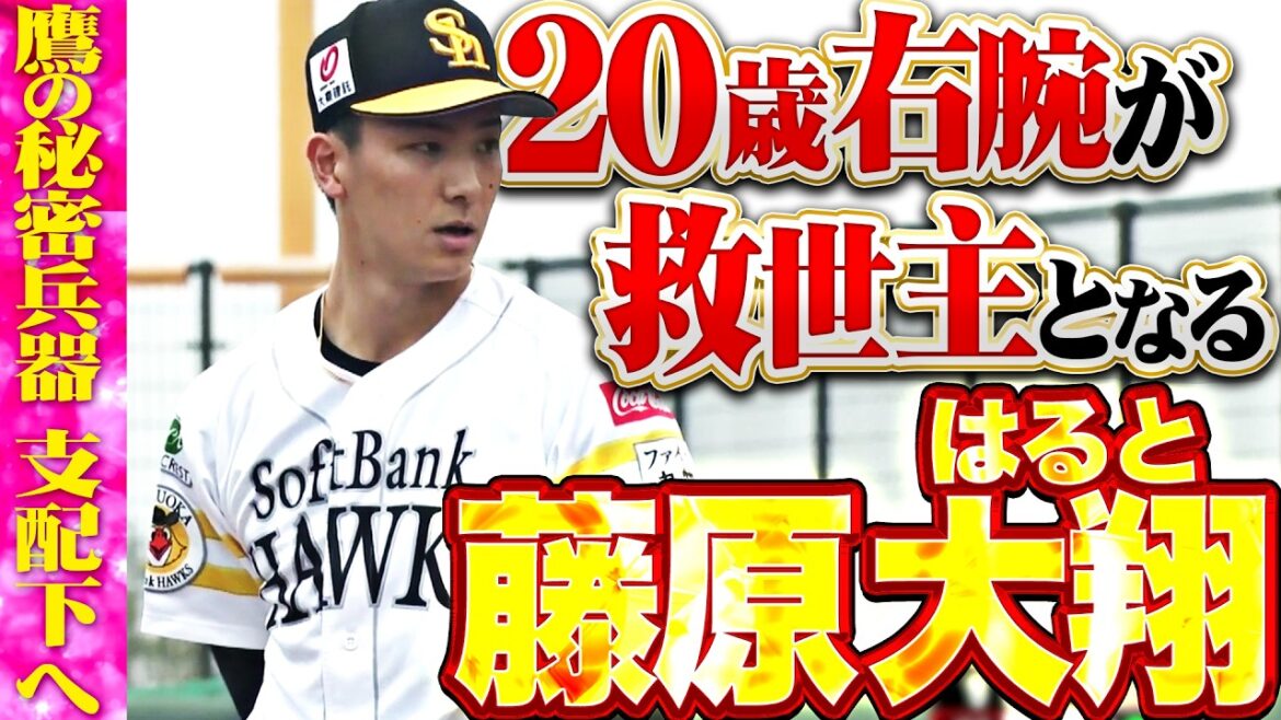 Pacific-League: 【鷹の秘密兵器】藤原大翔『待望の支配下入りへ…20歳右腕が鷹投手陣の救世主となるか!?』 【鷹の秘密兵器】藤原大翔『待望の支配下入りへ…20歳右腕が鷹投手陣の救世主となるか!?』
