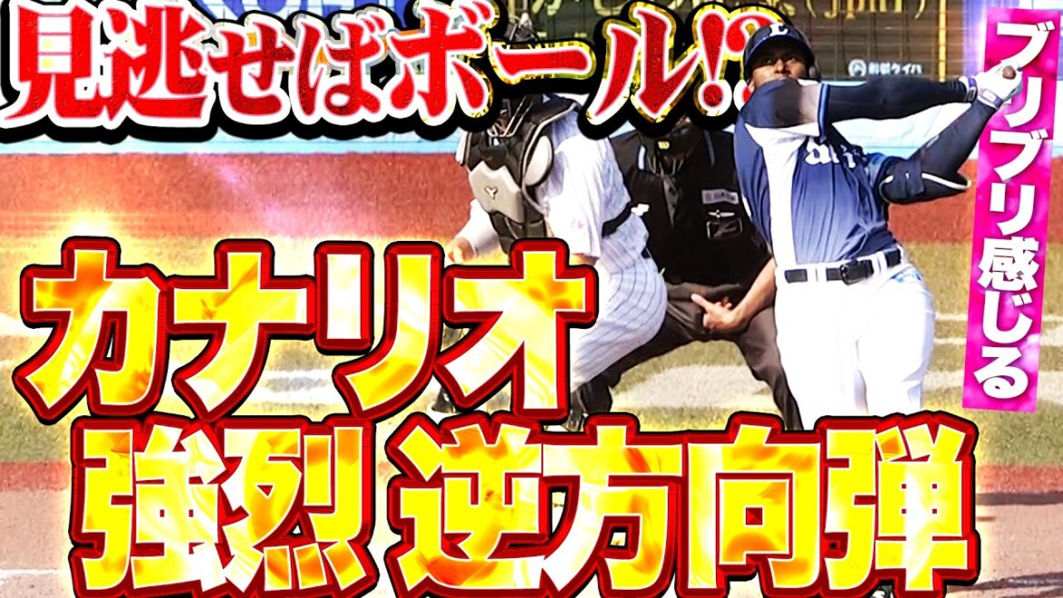 【見逃せばボール! 】カナリオ『高めストレートを逆方向へ!! “ブリブリ”感じる待望1号!!』