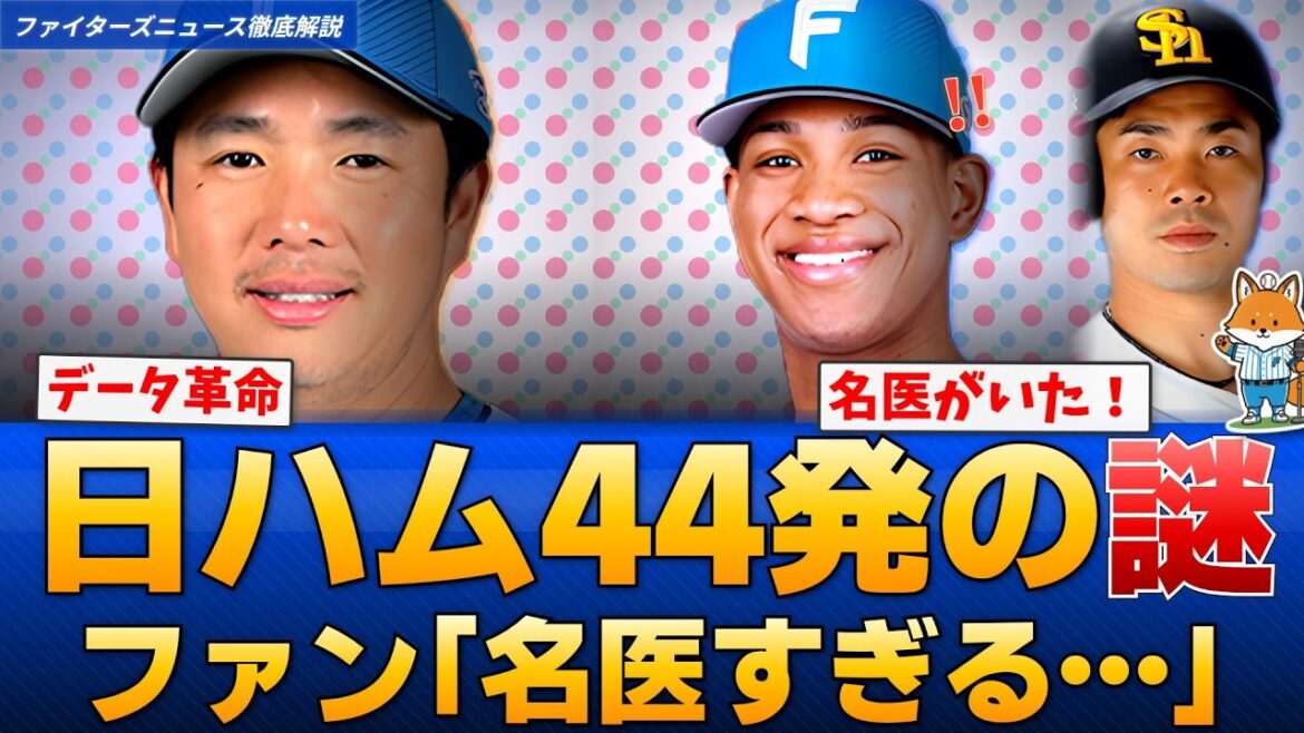 【衝撃】日本ハム44発の秘密…“名医”横尾コーチのデータ革命がすごい【えふこんの日ハム解説室】