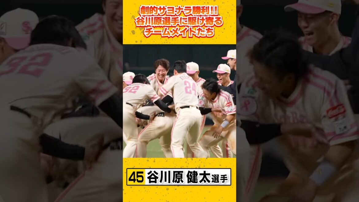 劇的サヨナラタイムリーでピンクフルデー初日を勝利！ #谷川原健太 #sbhawks #ピンクフルデー