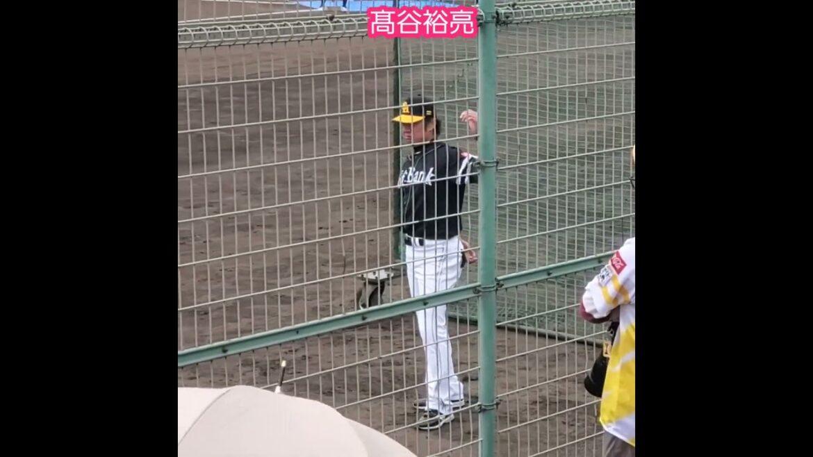 20260426　険しい表情の　#髙谷裕亮 2軍バッテリーコーチ　#shorts@ｴﾌﾞﾘｲ福山市民球場［ﾌｧｰﾑ･ﾘｰｸﾞ 西地区 2軍戦］竹ヶ端運動公園野球場