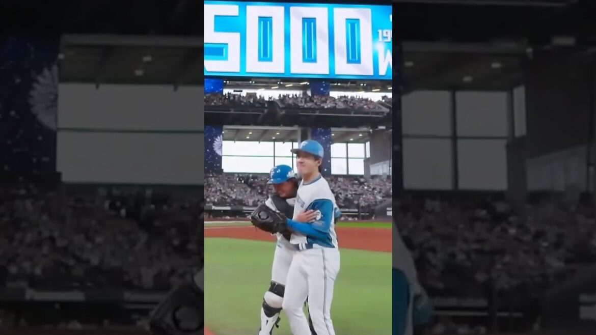 5/3ハイライト　球団誕生通算5000勝✨北山亘基投手の完封勝利＆万波中正選手の10号ホームラン⚾#ドミれ #lovefighters