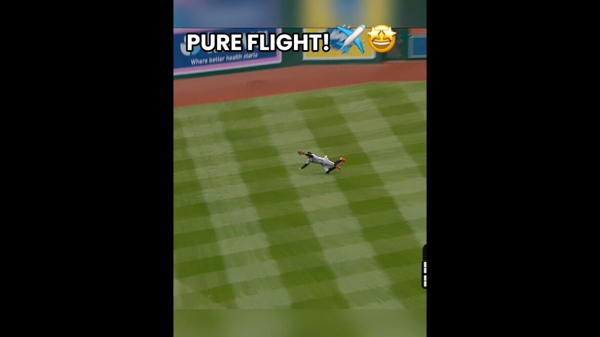Austin Martin GOES AIRBORNE for this incredible catch! ⚾️🔥 #Shorts #MLB #Twins #parati #baseball