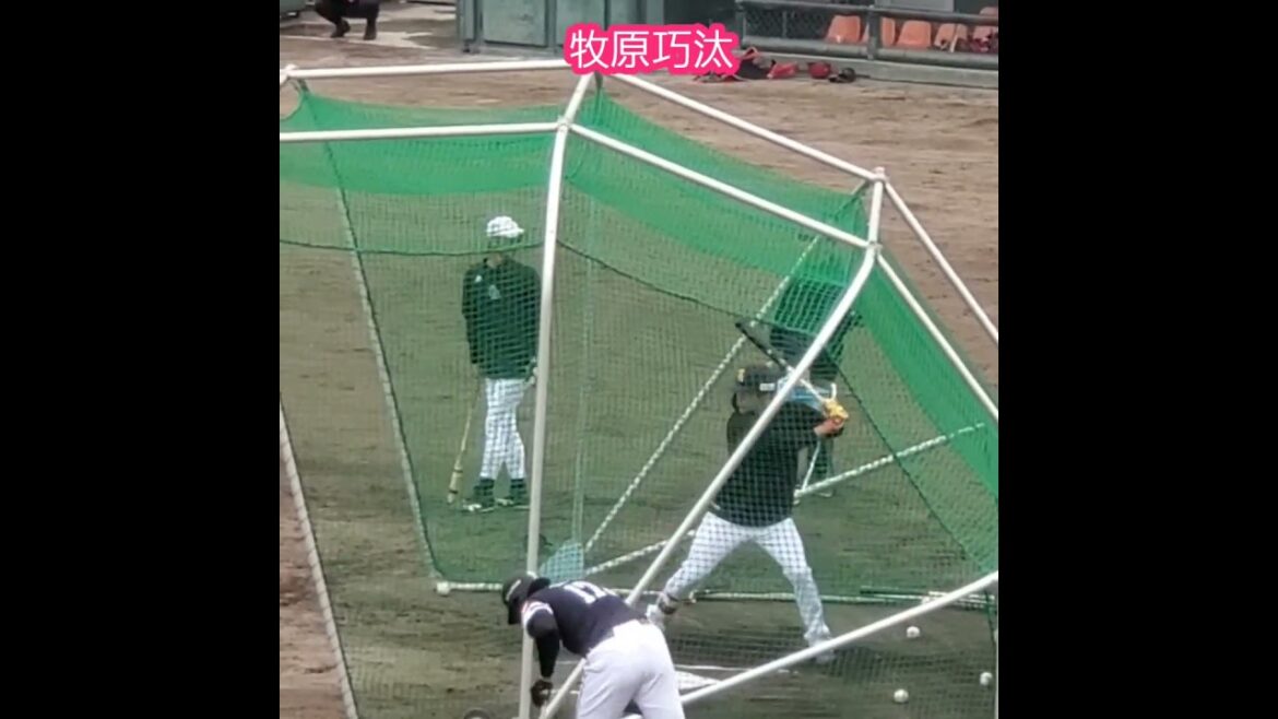 20260426　#牧原巧汰　試合前の打撃練習　#shorts　福岡ｿﾌﾄﾊﾞﾝｸﾎｰｸｽ2軍@ｴﾌﾞﾘｲ福山市民球場［ﾌｧｰﾑ･ﾘｰｸﾞ 西地区 2軍戦］竹ヶ端運動公園野球場