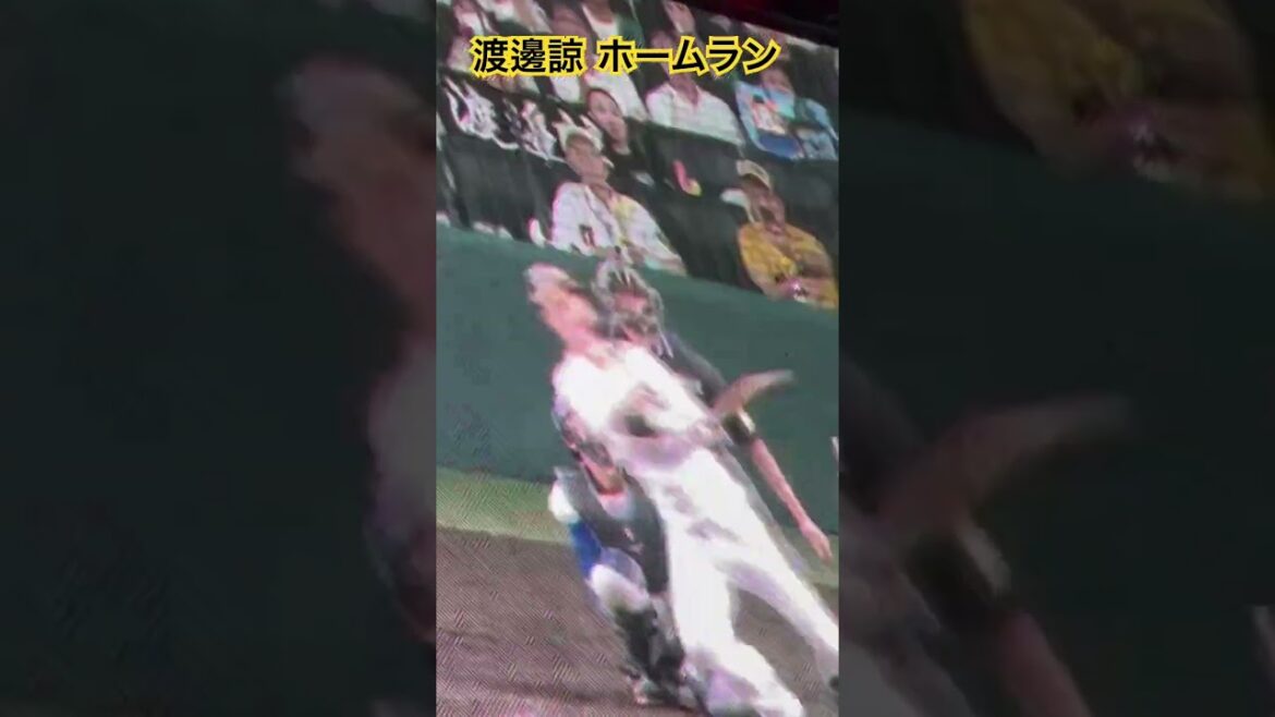 #tigers #渡邊諒 ホームラン