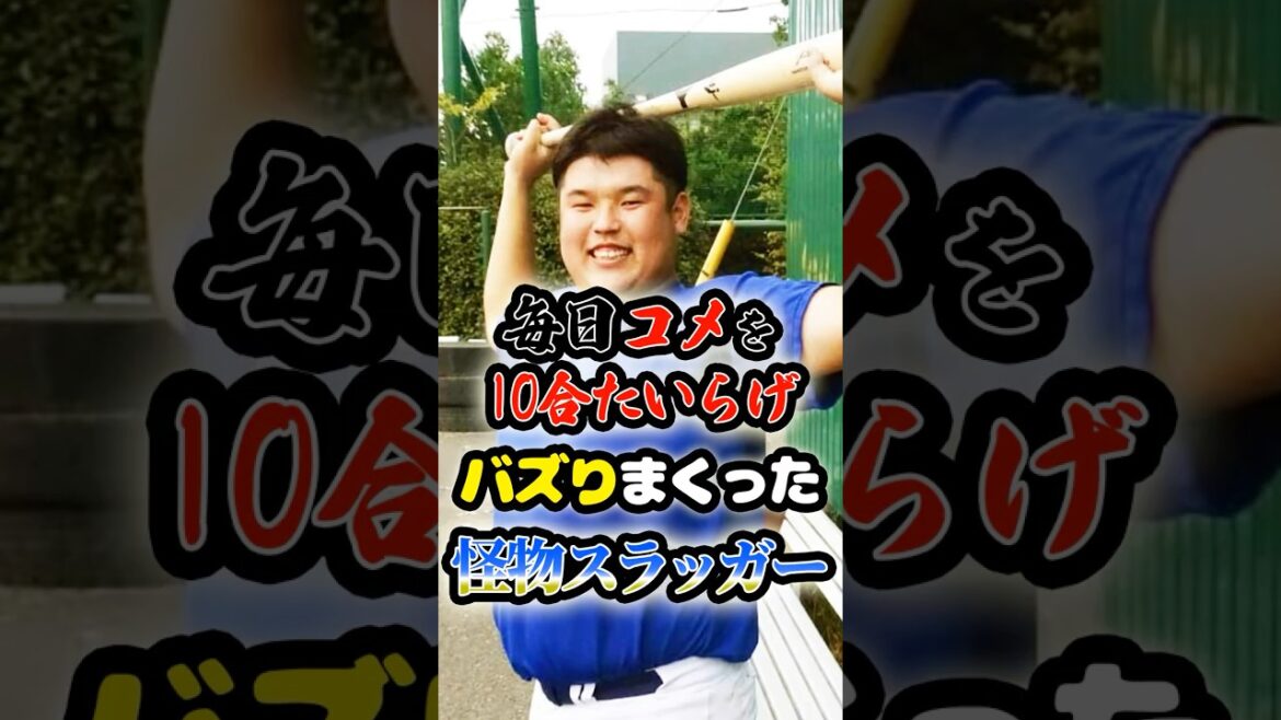 毎日米を10合食い「本塁打を量産した怪物」に関する雑学　#野球 #高校野球 #甲子園