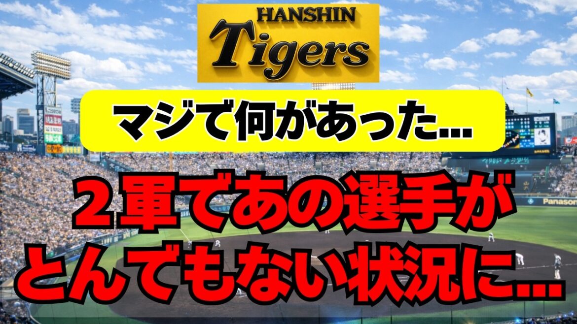 【阪神】２軍であの選手がとんでもない状況になってる件・・・