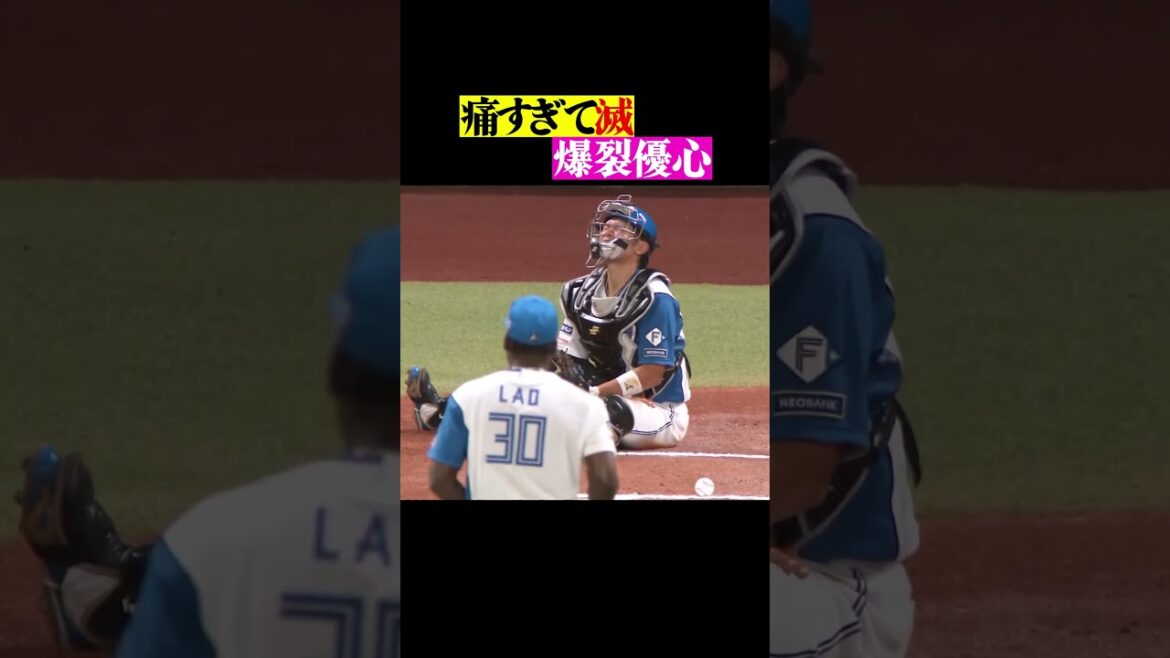 体を張るお仕事。キャッチャーという職業を改めて称えたい #shorts 体を張るお仕事。キャッチャーという職業を改めて称えたい #shorts