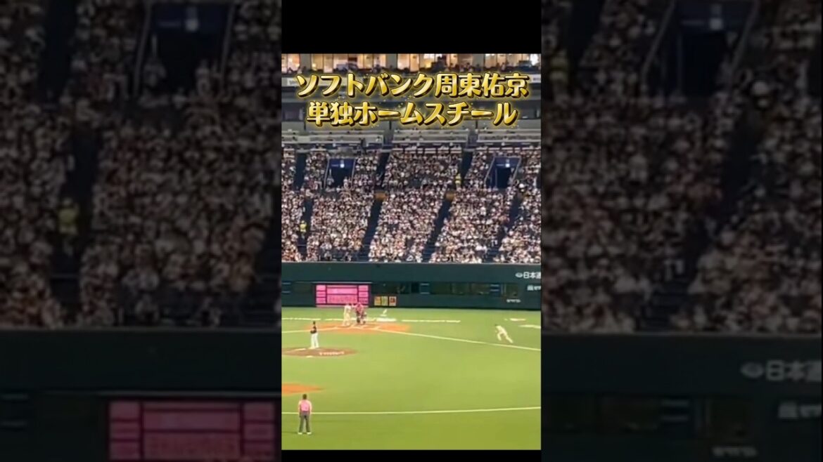 ソフトバンク 周東の単独ホームスチール　速すぎるwww　#野球 　#周東佑京 #ソフトバンク #ホークス #プロ野球 #sports #shorts #ホームスチール #baseball #ロッテ