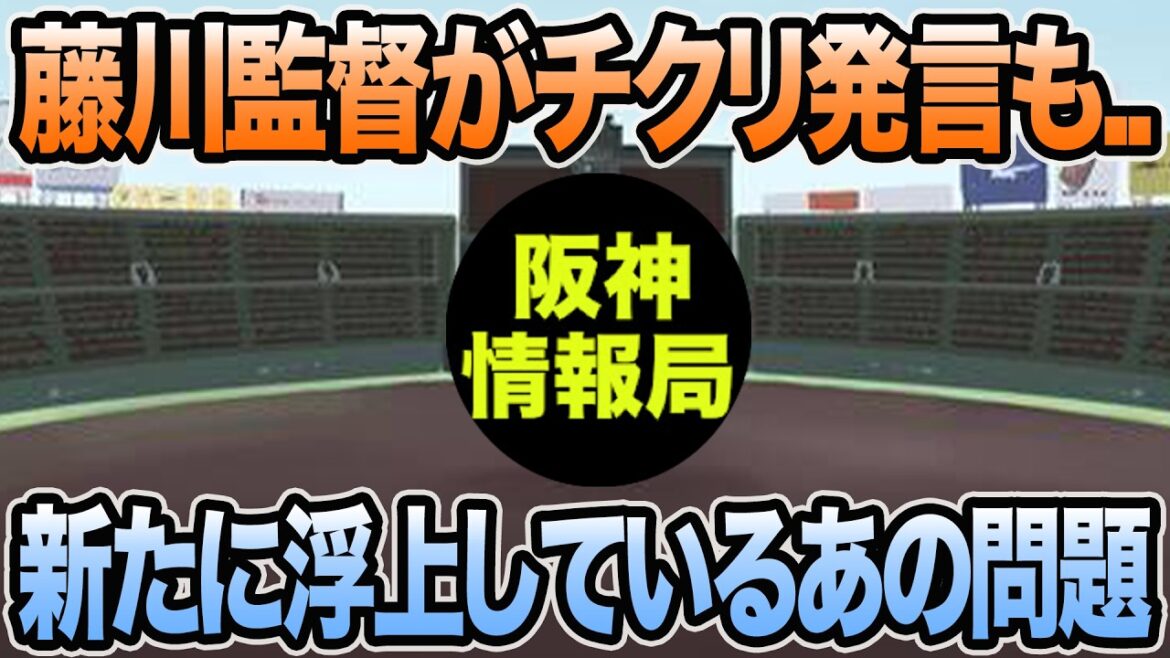 【藤川監督がチクリ発言も..】新たに直面しているあの問題について【阪神タイガース】 【藤川監督がチクリ発言も..】新たに直面しているあの問題について【阪神タイガース】