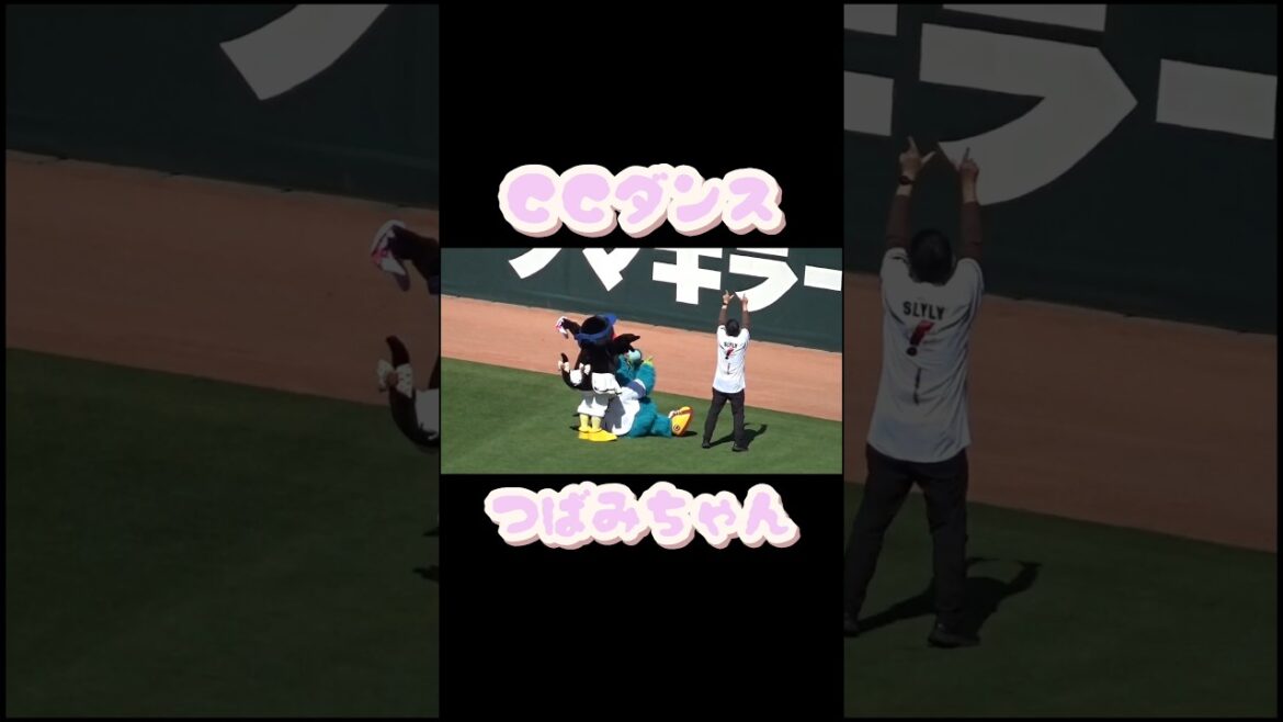 #スラィリー 　#つばみ 　#マツダスタジアム 　#広島東洋カープ 　#東京ヤクルトスワローズ 　 #燕心全開　#shorts   #swallows   #carp   　