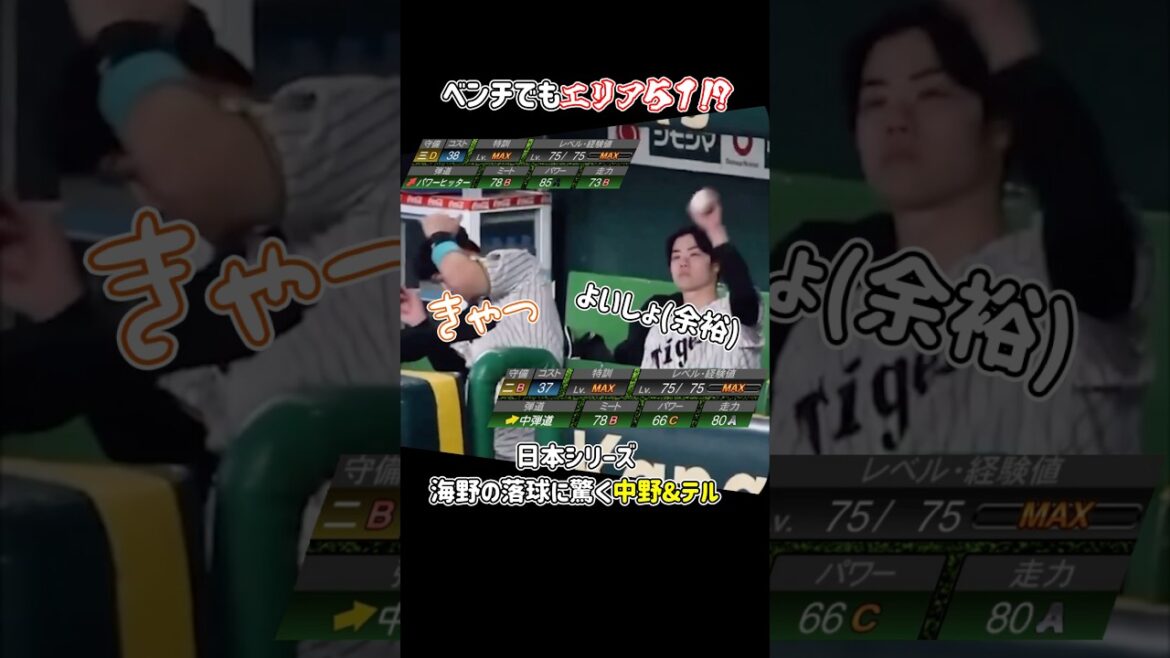 ベンチの中までエリア51 #佐藤輝明 #中野拓夢 #阪神タイガース #shorts