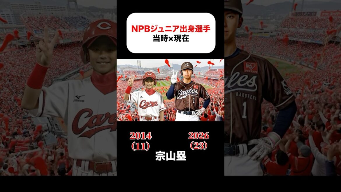 NPBジュニア出身選手の当時×現在 #宗山塁 #近藤健介 #森友哉 #根尾昂 #藤平尚真 #松井裕樹